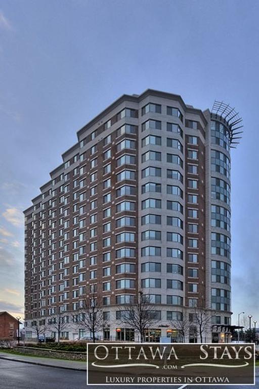 Corporate 50 Laurier Splendid *